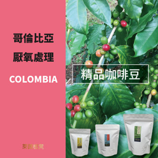 ~哥倫比亞~厭氧處理~咖啡豆((密處理系列))☆★萊茵板凳★☆精品咖啡豆專賣~自家烘焙~