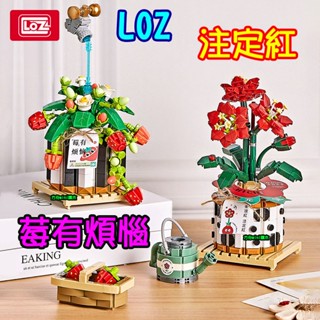 【方舟mini積木】💥LOZ莓有煩惱 註定紅~臺灣出貨💥花草積木 擇件 桌面擺設 3D立體 創意 迷你 微型 生日畢業
