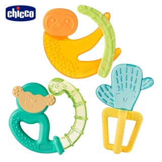 Chicco 冰凍固齒玩具 ( 仙人掌 / 猴子 / 樹懶 ) 4m+ / 固齒器 方便攜帶 磨牙 好抓握