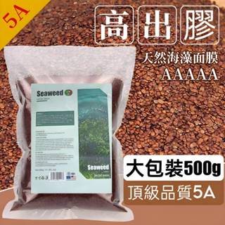 【現貨】天然海藻面膜 海藻顆粒 100%天然海藻 補水保濕嫩白美容院同款專用藻泥海藻顆粒 500g