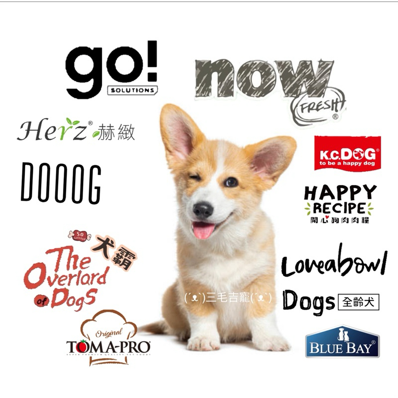 不吃不怕浪費🥴試吃包專區 狗狗原廠試吃包 素力高 DOOOG 本牧寵 GO NOW 烘培客 極光 狗飼料 狗糧 三毛吉寵