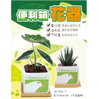 便利箱花器～～桃園郵侷限定特價380