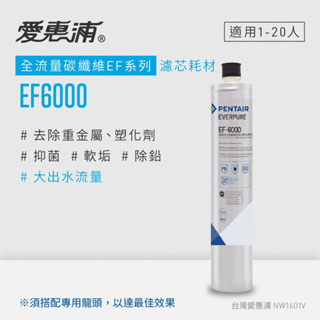 愛惠浦 EVERPURE EF6000碳纖活性碳濾芯(DIY更換免運費/送原廠提袋/刷卡分期0利率)