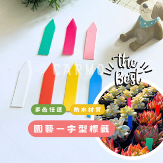 CARMO一字型標籤花牌花插(100入) 一字花插｜植物名牌｜園藝工具｜器具標籤