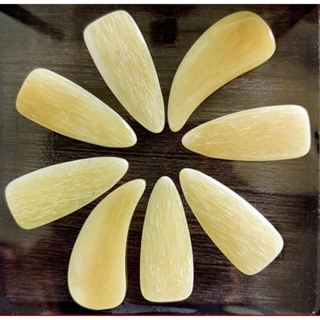 駱駝骨 古箏指甲 凹槽 (盒裝8片裝）演奏古箏指甲 專業型指甲 古箏義甲 古箏指甲 練功古箏指甲 厚古箏指甲 左右手指甲