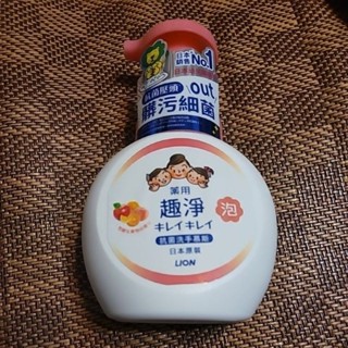 日本原裝進口 獅王 趣淨 抗菌洗手慕斯250ml