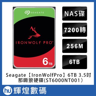 SEAGATE IronWolf Pro 3.5吋 6TB NAS專用硬碟 (ST6000NT001)