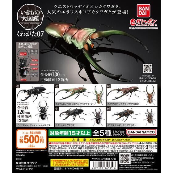 ☆DumpyToy☆ 現貨 BANDAI 扭蛋 轉蛋 生物大圖鑑-鍬形蟲篇07 一套五款