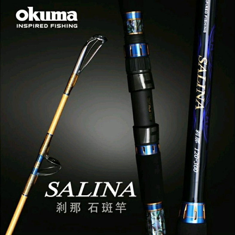 【哈釣🎣休閒館】☀️ 免運📣 okuma 剎那 SALINA 石斑竿 🔥