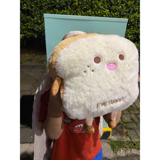 🌈現貨/24H出貨 ❇️新年禮物🍞吐司造型抱枕 手插午睡枕 暖手午覺枕 超柔軟絨毛玩偶 雀斑吐司 枕頭