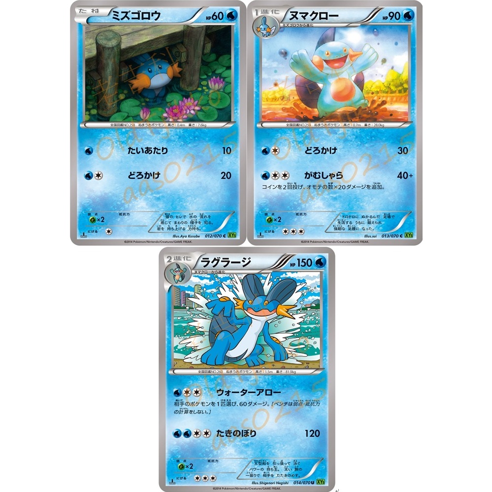 🌸老吉科🍀 Pokémon TCG PTCG日版絕版XY系列 XY5 一刷 御三家 水躍魚 沼躍魚 巨沼怪 寶可夢卡牌