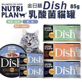 【單罐】Nutri Plan 金日鱔 營養計畫 Dish乳酸菌貓罐85g肉汁罐 挑嘴貓推薦 貓罐頭『Q老闆寵物』