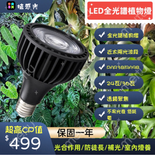 植感光 全光譜 PAR38 LED 植物燈 RA98 24w/36w實瓦 聚光4000k 鹿角蕨 塊根 龍舌蘭 觀葉植物