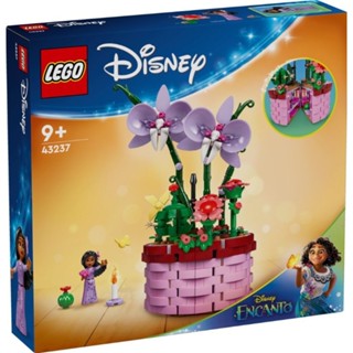 LEGO 43237 伊莎貝拉的花盆 蝴蝶蘭花 迪士尼 樂高公司貨 永和小人國玩具店301a