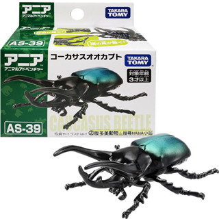 【HAHA小站】AN21035 AS-39 高加索巨型甲蟲 多美動物 昆蟲模型 昆蟲公仔 獨角仙 甲蟲 鍬形蟲 玩具