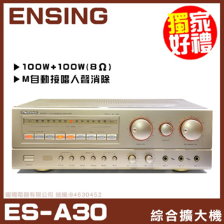 ~曜暘~ENSING ES-A30 100W 燕聲電子 經典紀念機種