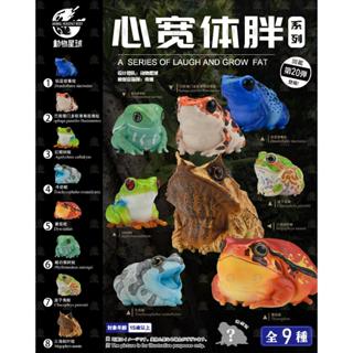動物星球 心寬體胖 授權代理商 正版公司貨 第二十彈 第20彈 毒蛙 箭毒蛙 青蛙 牛奶蛙 角蛙 紅眼樹蛙 現貨