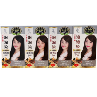 夢17 泡泡染-灰白髮用 20mlx3包入 (自然黑/栗子紅/摩卡棕/奶茶褐)
