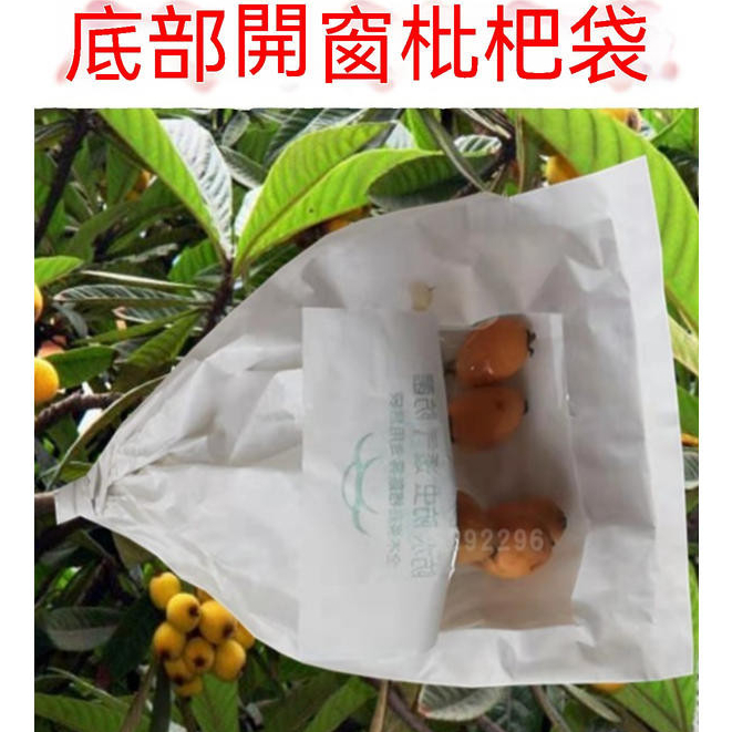 枇杷套袋 園藝專用袋  透明開窗側開套袋 金丸蘆橘果袋 漭果 桂七 杧果 金煌芒果袋
