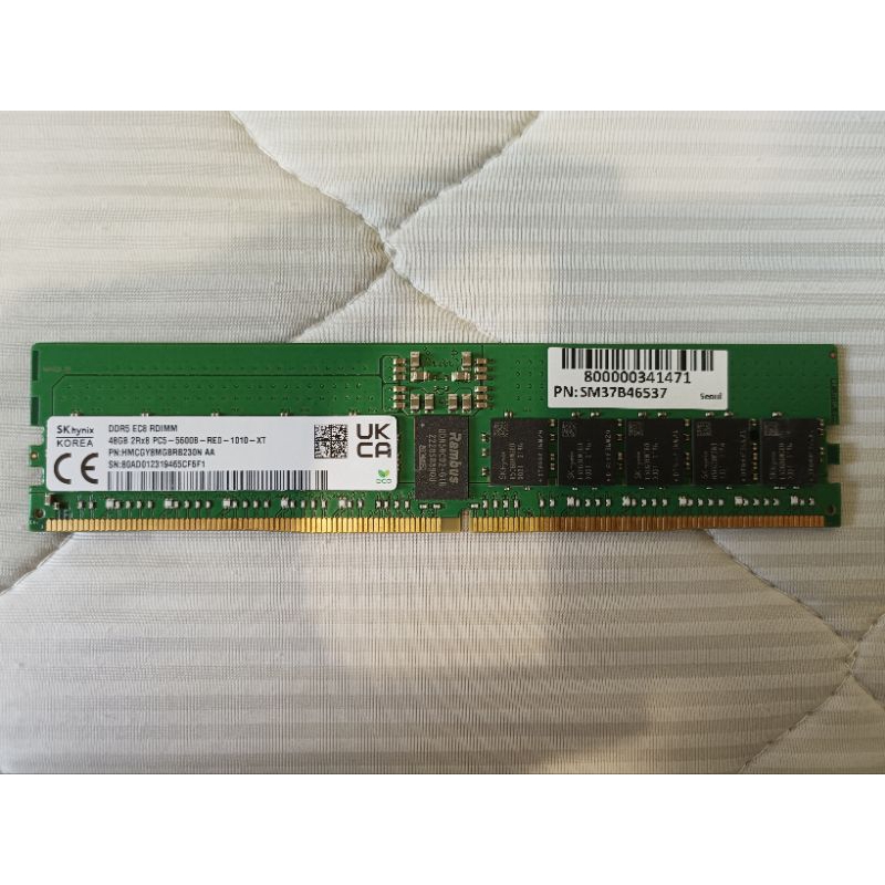 SK Hynix DDR5 RDIMM 24GB 5600MHz 伺服器和工作站專用