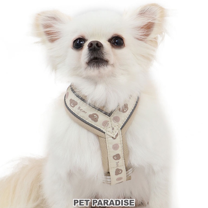 【PET PARADISE】熊熊滿版Y字透氣外出胸背 (S)｜PP 2023新款 寵物精品