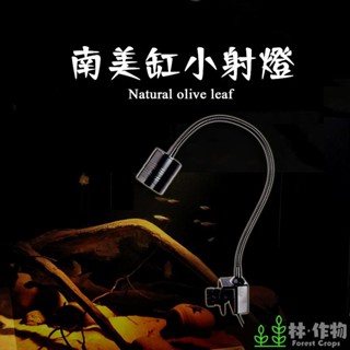 《林作物》臺灣現貨(含發票) 水族 USB 5V 迷你款/三色可變 魚缸 原生魚缸 南美燈 造景燈 射燈 投射燈 LED