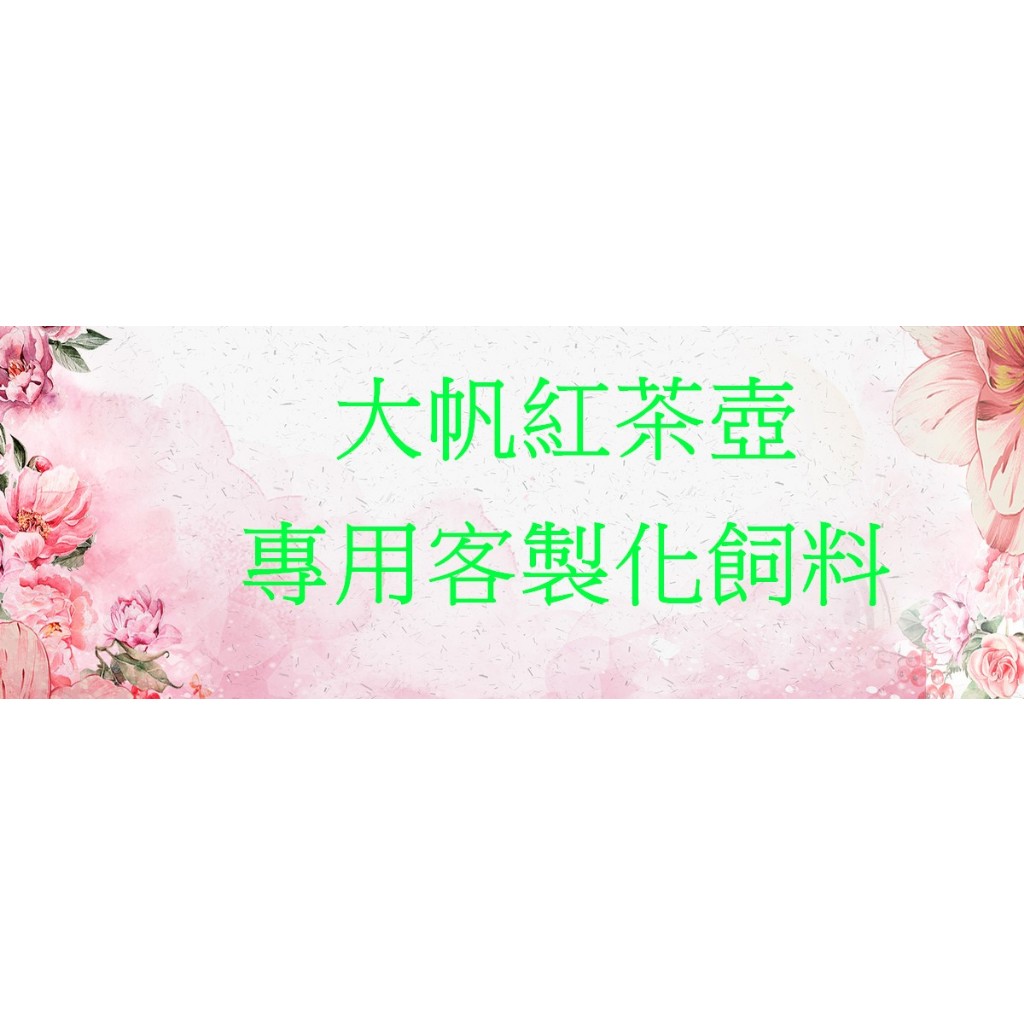 【河馬水族店】大帆紅茶壺、專用客製化飼料