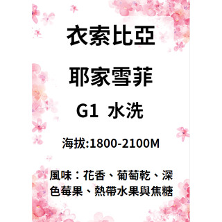 【環群咖啡生豆】 M02 衣索比亞 耶家雪菲 雪列圖 G1 水洗 咖啡生豆 咖啡 生豆 咖啡濾紙 濾掛式咖啡 咖啡壺