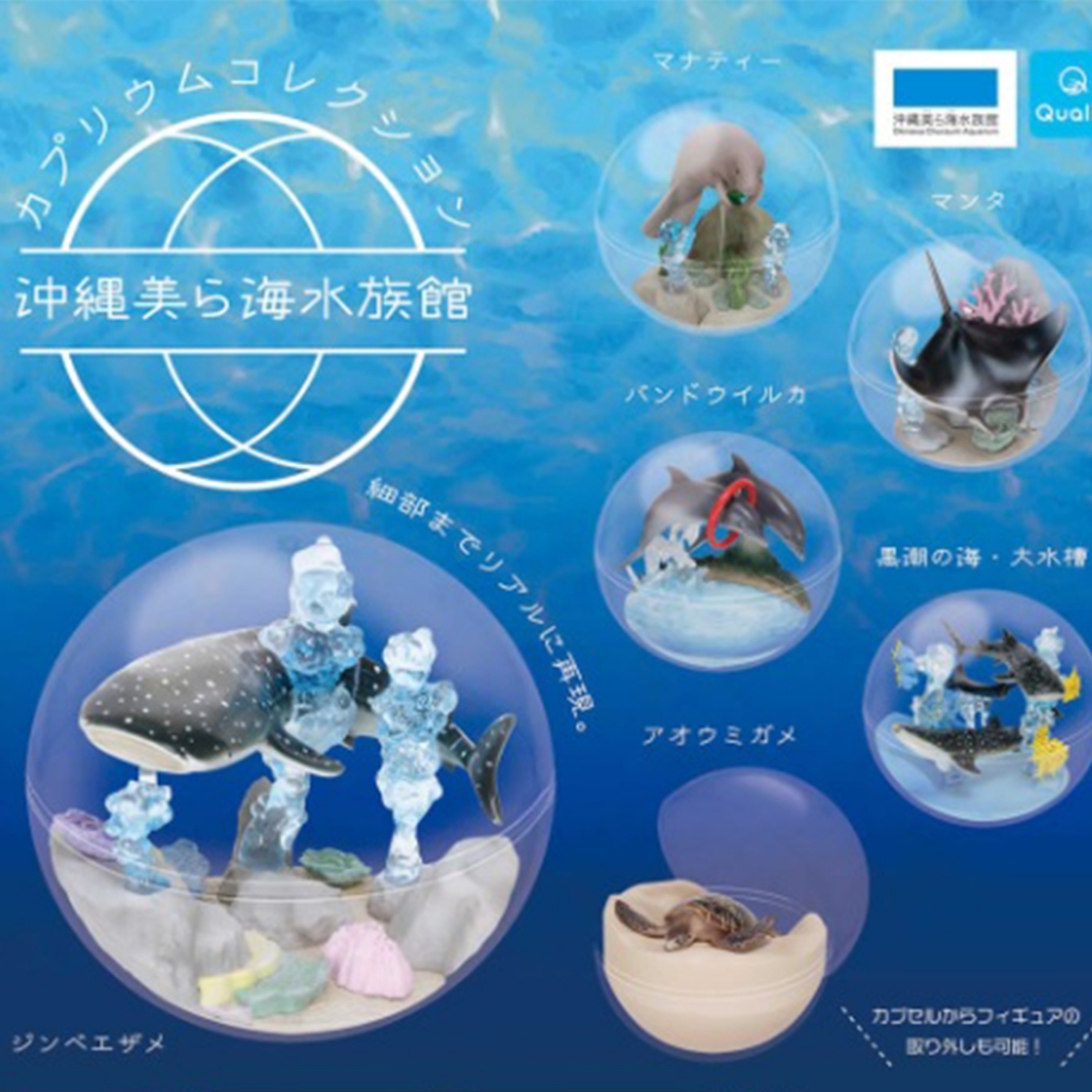 【盧卡斯偷椅子】現貨 正版 Qualia 沖繩美麗海水族館 限定扭蛋 黑潮 鯨鯊 海豚 扭蛋 轉蛋