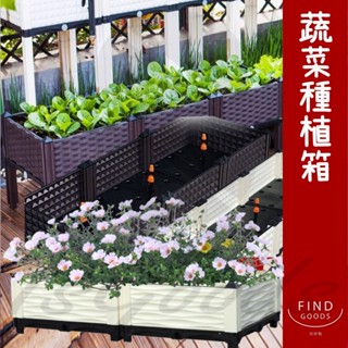 種菜箱 菜盆 蔬菜箱 種植箱 陽臺種菜 栽培箱 種菜神器 陽臺種菜 種菜盆 (好熱銷🔥)_☆找好物FINDGOODS☆