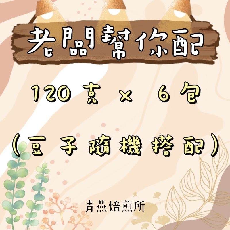 【青燕焙煎所】 |  老闆幫你選系列 | 120G ｘ6 | 精品莊園咖啡豆 | 水洗 | 日曬 | 水洗 | 淺焙