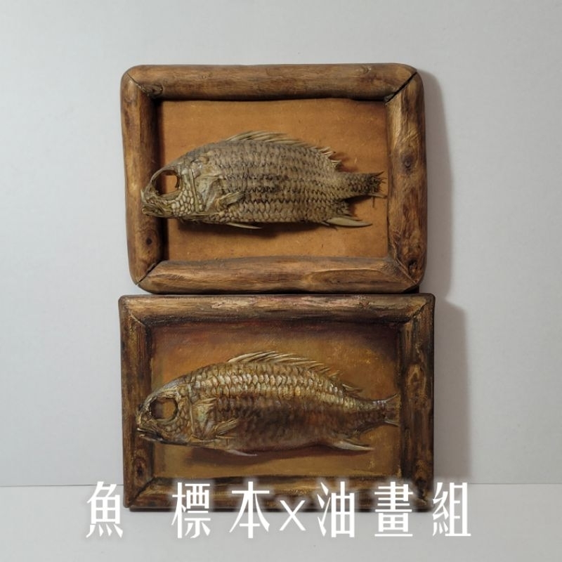 【默默古物】 魚標本x油畫組 靜物畫