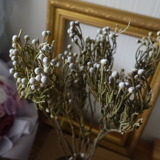 My Wonderful 原裝整包【乾燥銀果／白果】婚禮佈置胸花花束／DIY捧花藝／不凋花永生花