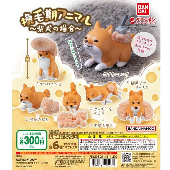 盒蛋廠】BANDAI 換毛期的柴犬 全6款 4570118145079【日本扭蛋、整套組、指定款、隨機款銷售、一套6款】