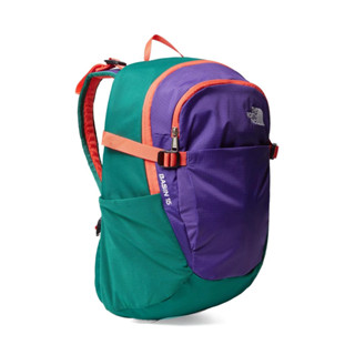 The North Face BASIN 15L 防水後背包 NF0A87SJXO1 紫綠