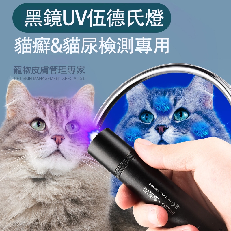 🐕‍🦺台灣現貨🐕‍🦺 紫光手電筒 uv手電筒 365nm 貓蘚寵物真菌檢測燈 紫外線手電筒 伍德氏燈 驗鈔筆 貓癬燈