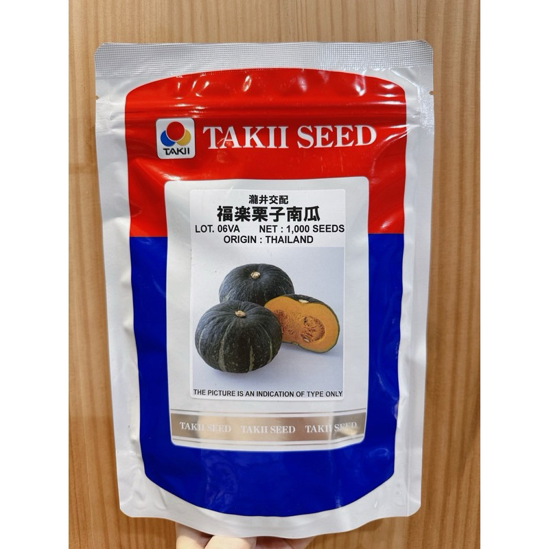 城禾農產🍃 福樂栗子南瓜 35粒 耐白粉病 果肉細緻 甜味高 日本栗子南瓜種子 栗子南瓜種子 栗南瓜種子 南瓜種子