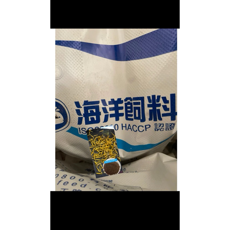 金背黃金米蝦高級海洋飼料模型送水草