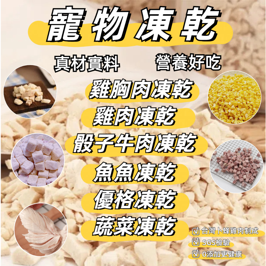 🐾貓狗不挑食，冰箱裡的安心魔法