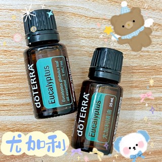 🧸小君店舖🧸正品代購 多特瑞精油 ✈️原廠公司貨🔥dōTERRA 多特瑞 尤加利精油 15ml國際版和臺灣版隨機出