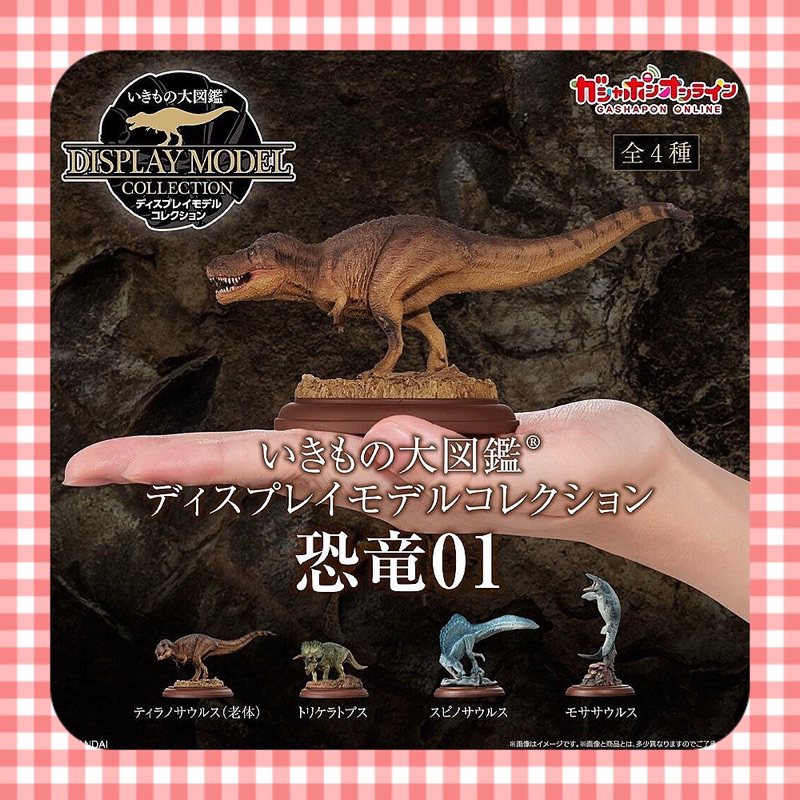 《東扭西扭 》『2024/3月預購』生物大圖鑑展示模型-恐龍P1 扭蛋 全4款 BANDAI 轉蛋 日本 動物 模型