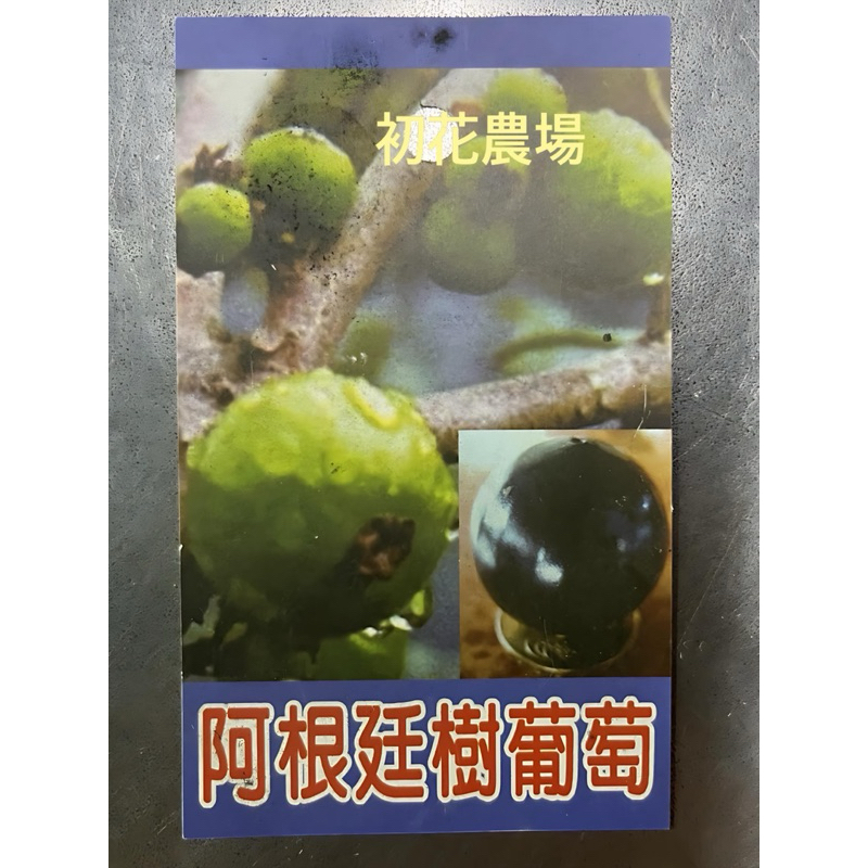 初花農場2店｜阿根廷樹葡萄｜3.5寸盆｜果樹｜大果，皮薄，果實偏甜｜～特價90