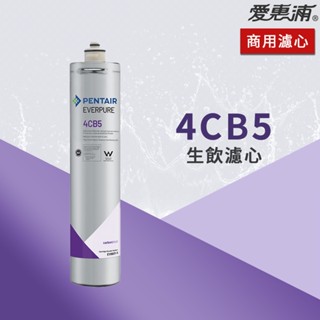 【思維康SWEETCOM】美國原廠愛惠浦 EVERPURE 4CB5 生飲濾心 黑水保固公司貨