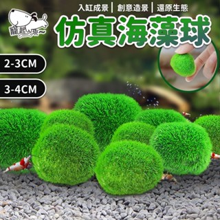 仿真海藻球 水藻球 仿真水草 綠球 假水草 魚缸造景 綠球藻 毯藻 綠毛球 小藻球 水族 魚缸 水族箱 造景 海藻球