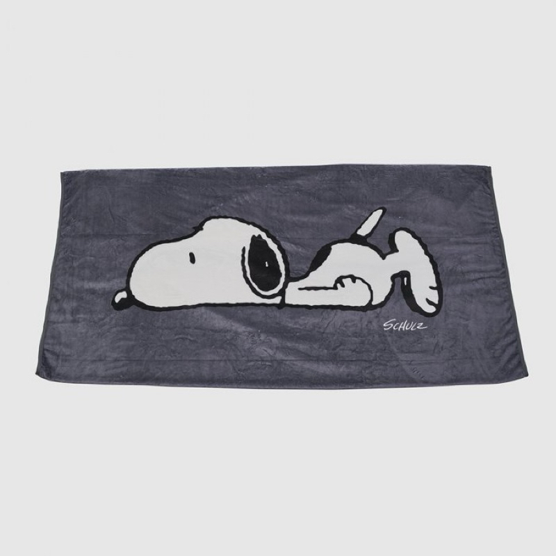 🚘LEXUS凌志汽車 原廠精品✨ 正版聯名 SNOOPY懶人毯 毛毯 法蘭絨毛毯 沙發毯