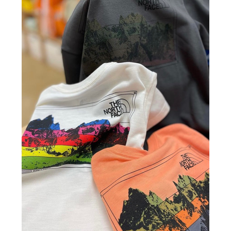 預購🇯🇵日本購回🇯🇵The north face kids北臉童裝/戶外 露營 抗燃短袖上衣短tee 100-150cm