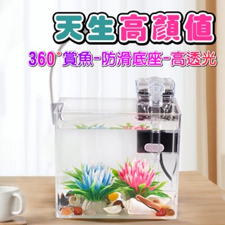小魚缸 360度高透明 鬥魚缸 孔雀魚缸 生態缸 蝦缸 水草缸 小型水族箱