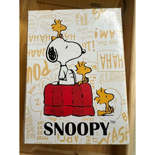 現貨 史努比 梅森杯 snoopy 多功能罐型杯 夏日必備 玻璃杯 沙拉罐 吸管杯 隨手杯