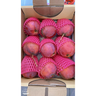 📣📣📣正式開賣囉—枋山愛文芒果禮盒登場囉！