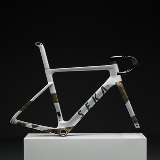 【風逸單車】Exceed RDC 蒼翠銀 車架組